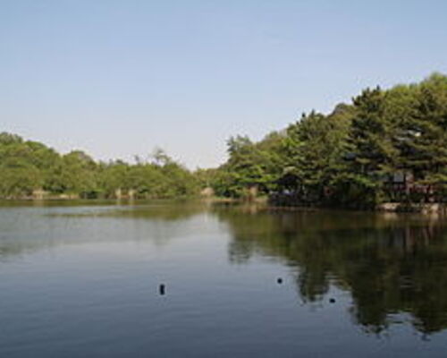 280px-Nerima_Syakujii_park_sampoji_pond