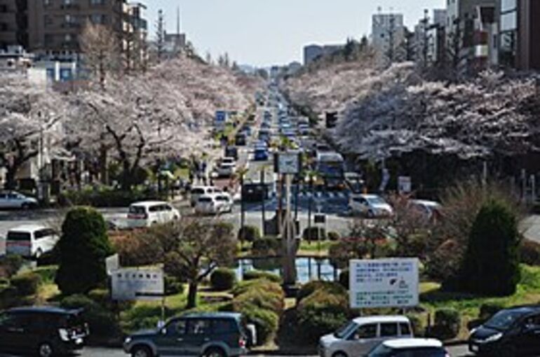 280px-Kunitachi-1a